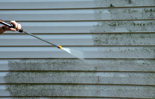 Best Residential Pressure Washing in South Boston, VA